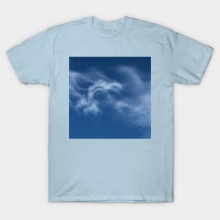 Watching Over You T-Shirt